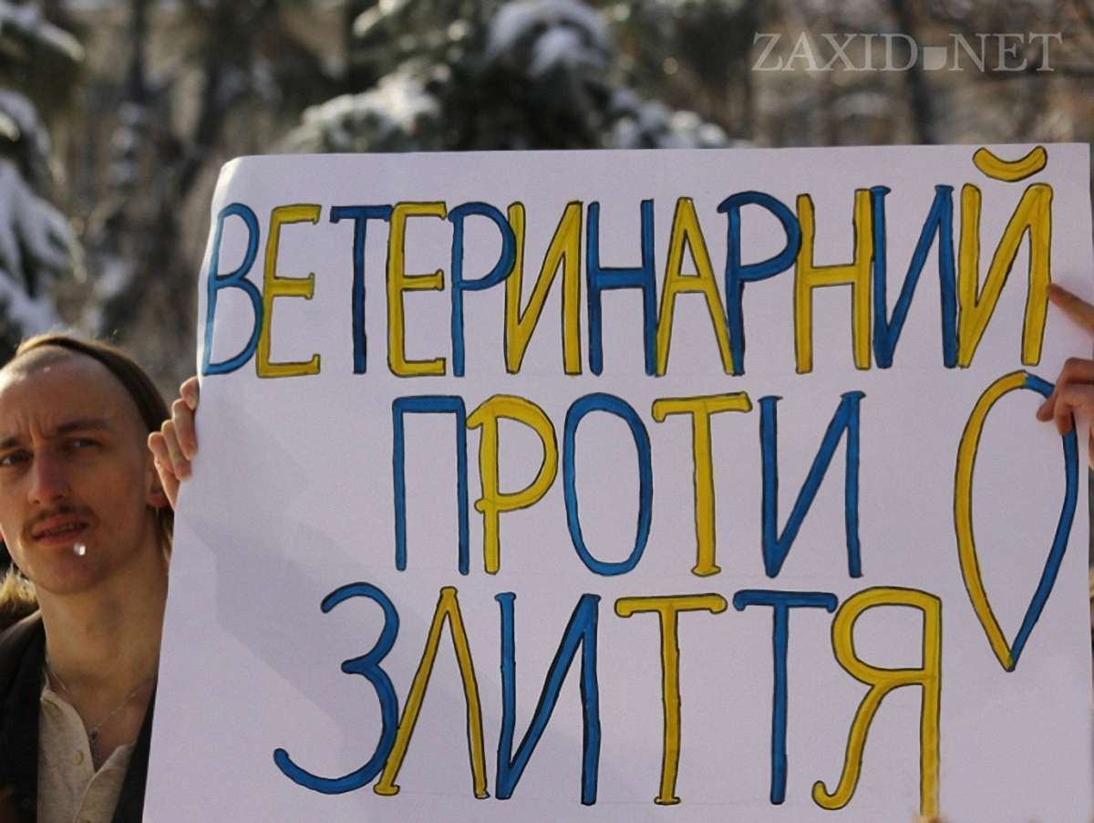 Біля Львівської облради пікетують студенти-ветеринари