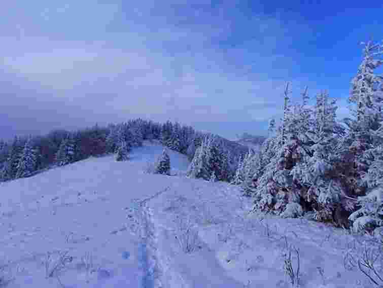 У Карпатах оголосили штормове попередження