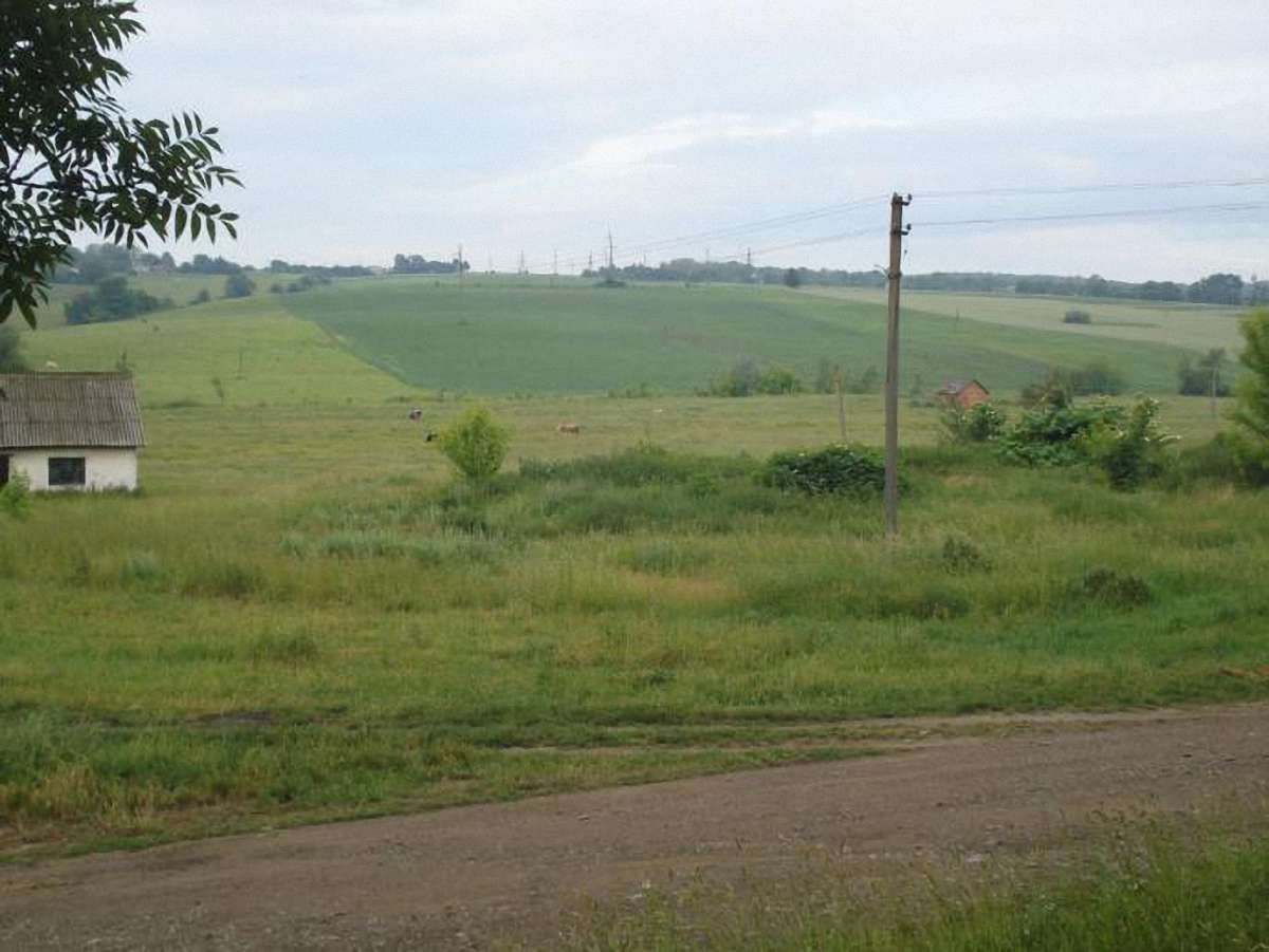 На Буковині сільського голову викрили в оборудках з землею