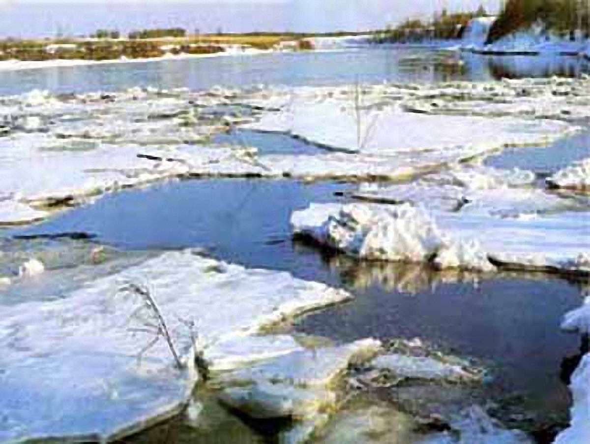 На Житомирщині розшукують двох зниклих біля річки хлопчиків