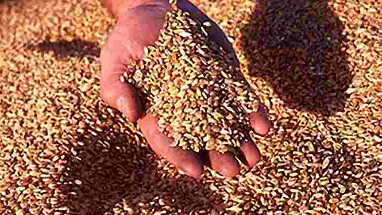 Україна виходить на сьому позицію серед експортерів зерна