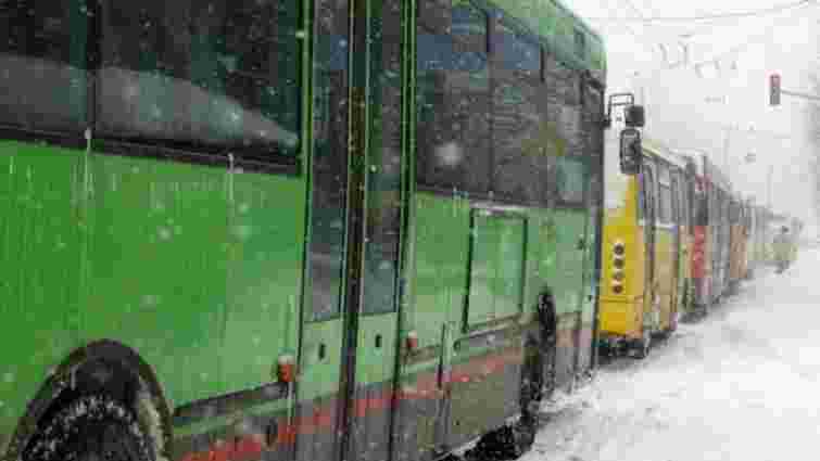 Сніг у Львові не припиняється: на дорогах стоять автобуси