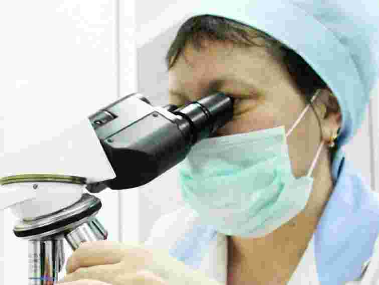 Торік в Україні зафіксовано майже 2 тисячі випадків сказу