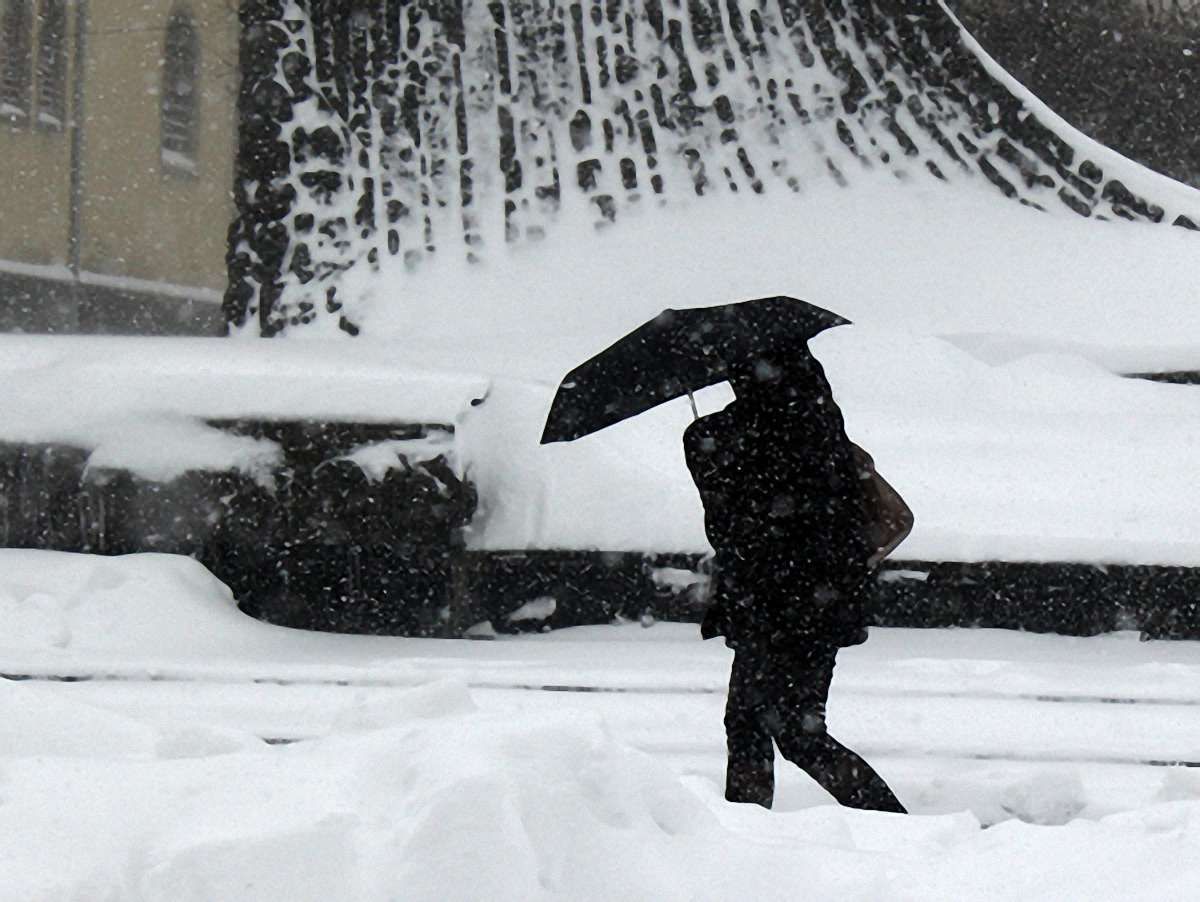 Сніг у Львові падатиме весь день, - синоптики