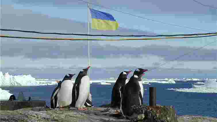 Українські вчені знайшли поклади нафти в Антарктиді