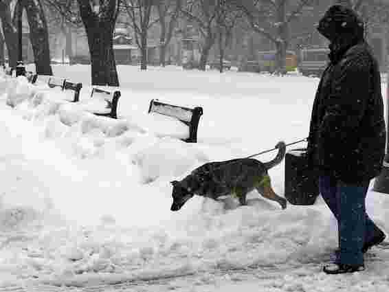 У Києві - низка звільнень через снігові замети