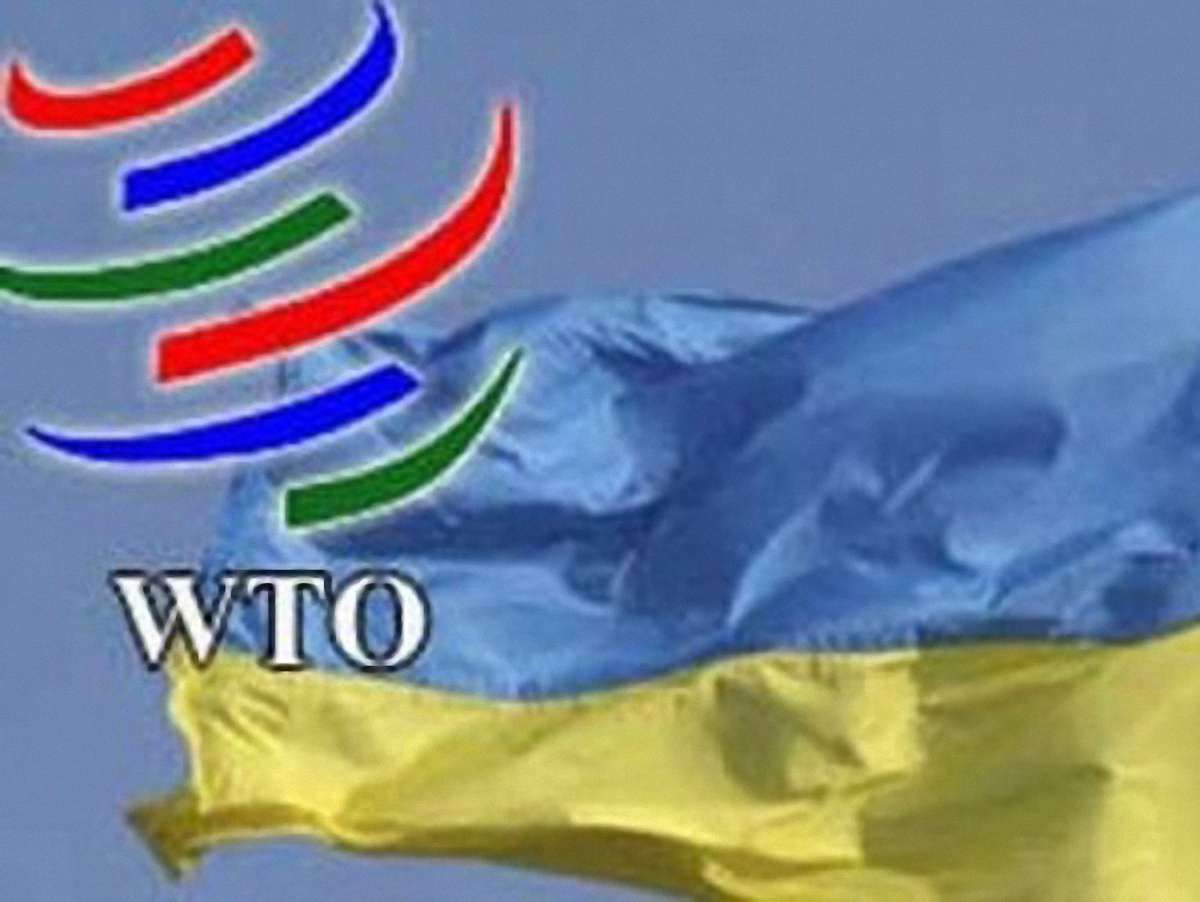 Україну можуть виключити із СОТ, – експерт