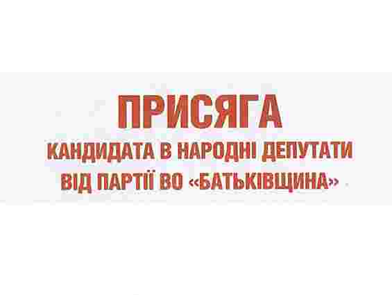 «Тушки» мають скласти мандати, - заява «Батьківщини»