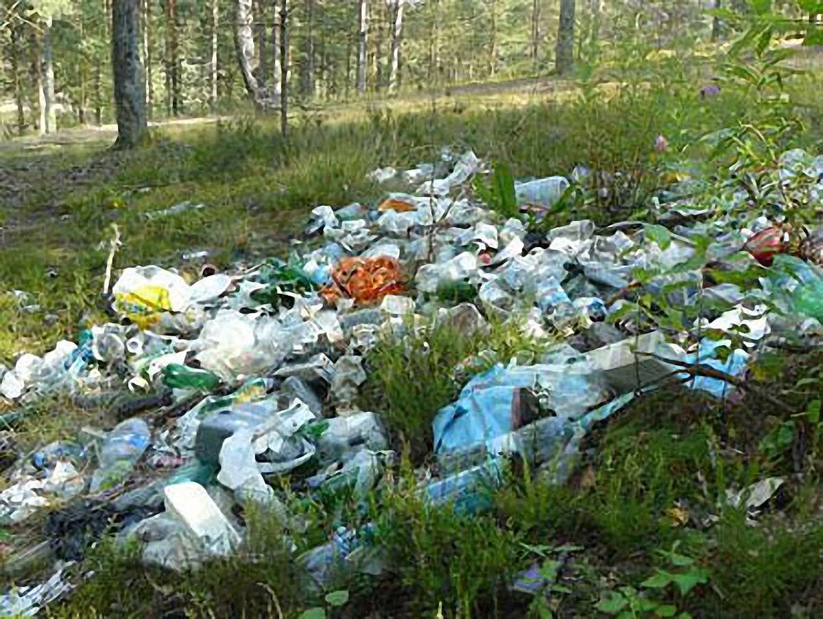 У парках Львова побільшало стихійних сміттєзвалищ