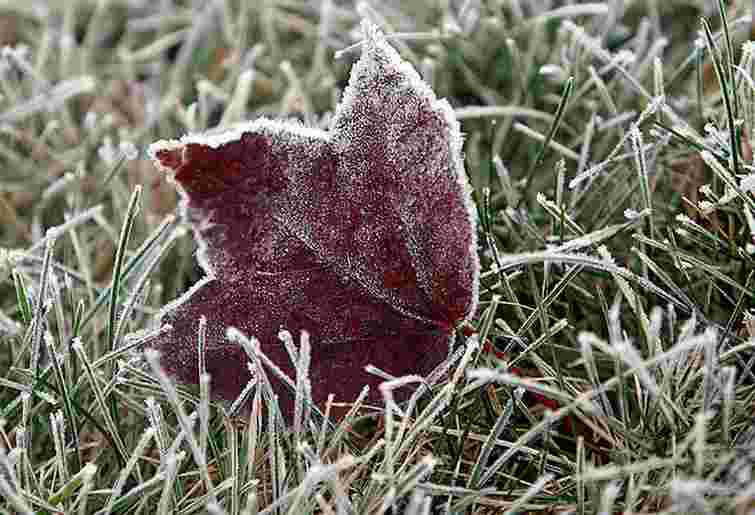 З понеділка в Україні прогнозують заморозки
