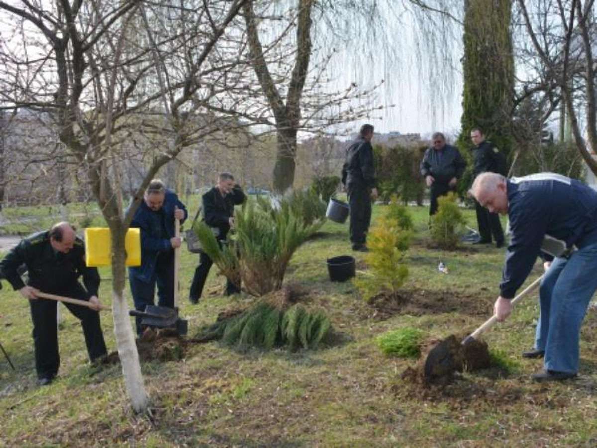 Дві тисячі чиновників і військових взяли участь у толоці на Львівщині