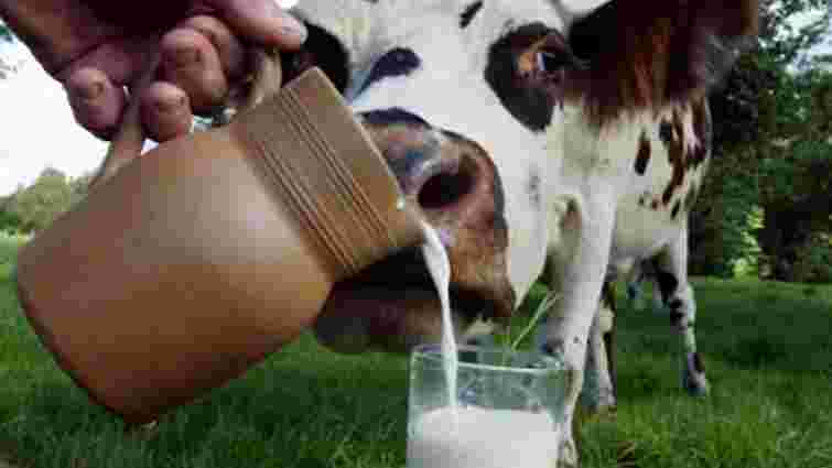 В Україні зросли закупівельні ціни на молоко
