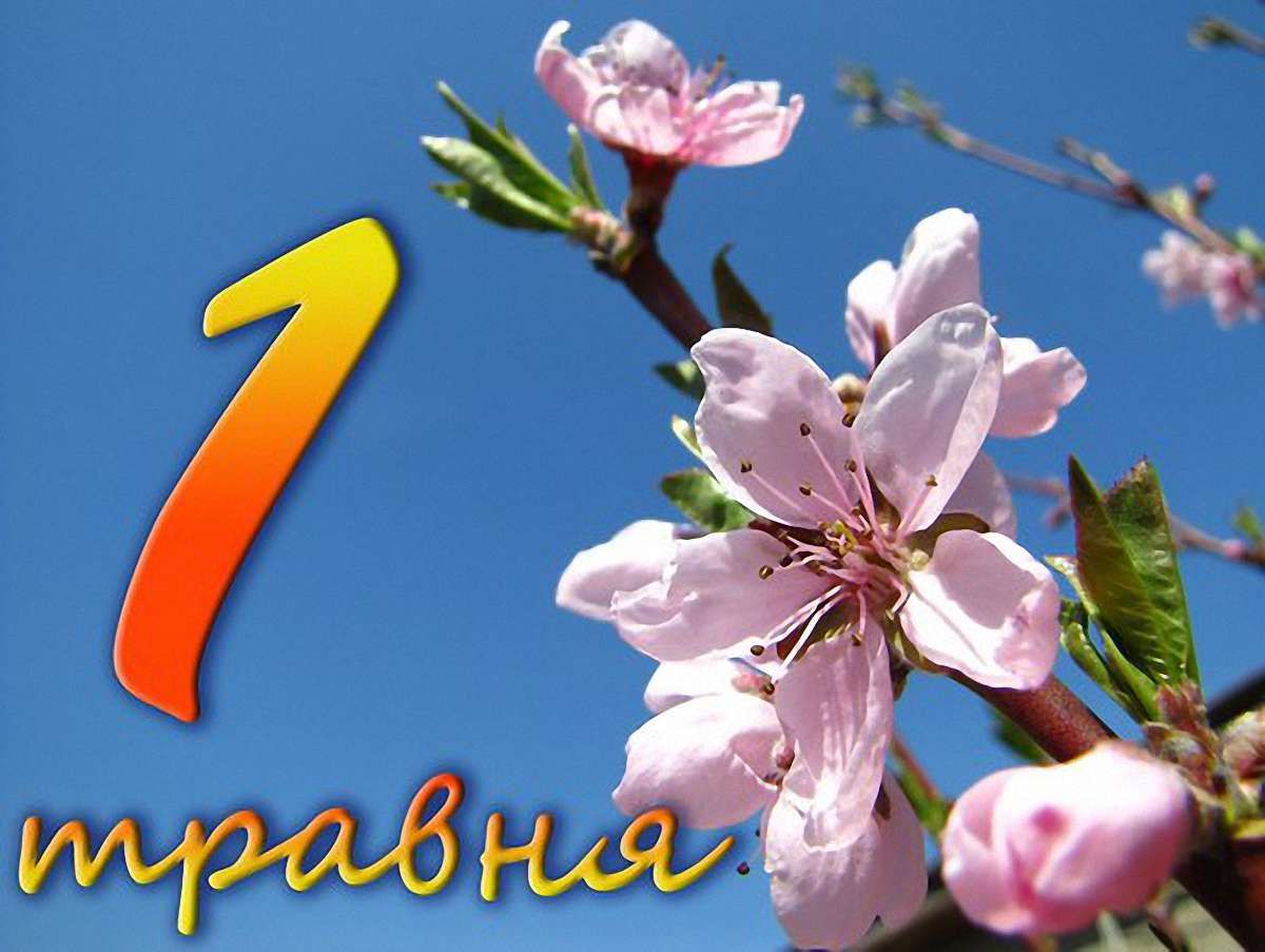 Комуністи у Львові відзначать 1 травня біля Монументу слави