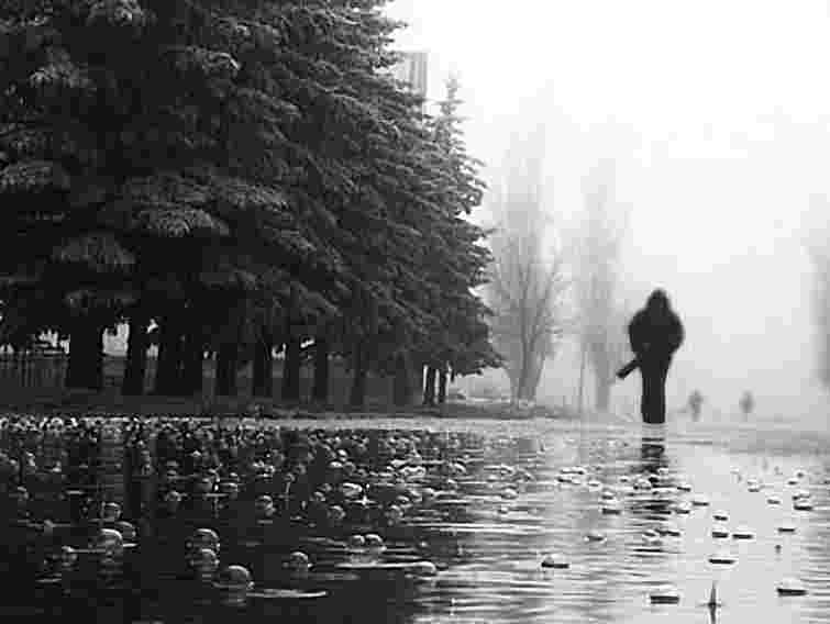 На заході сьогодні грози та шквали