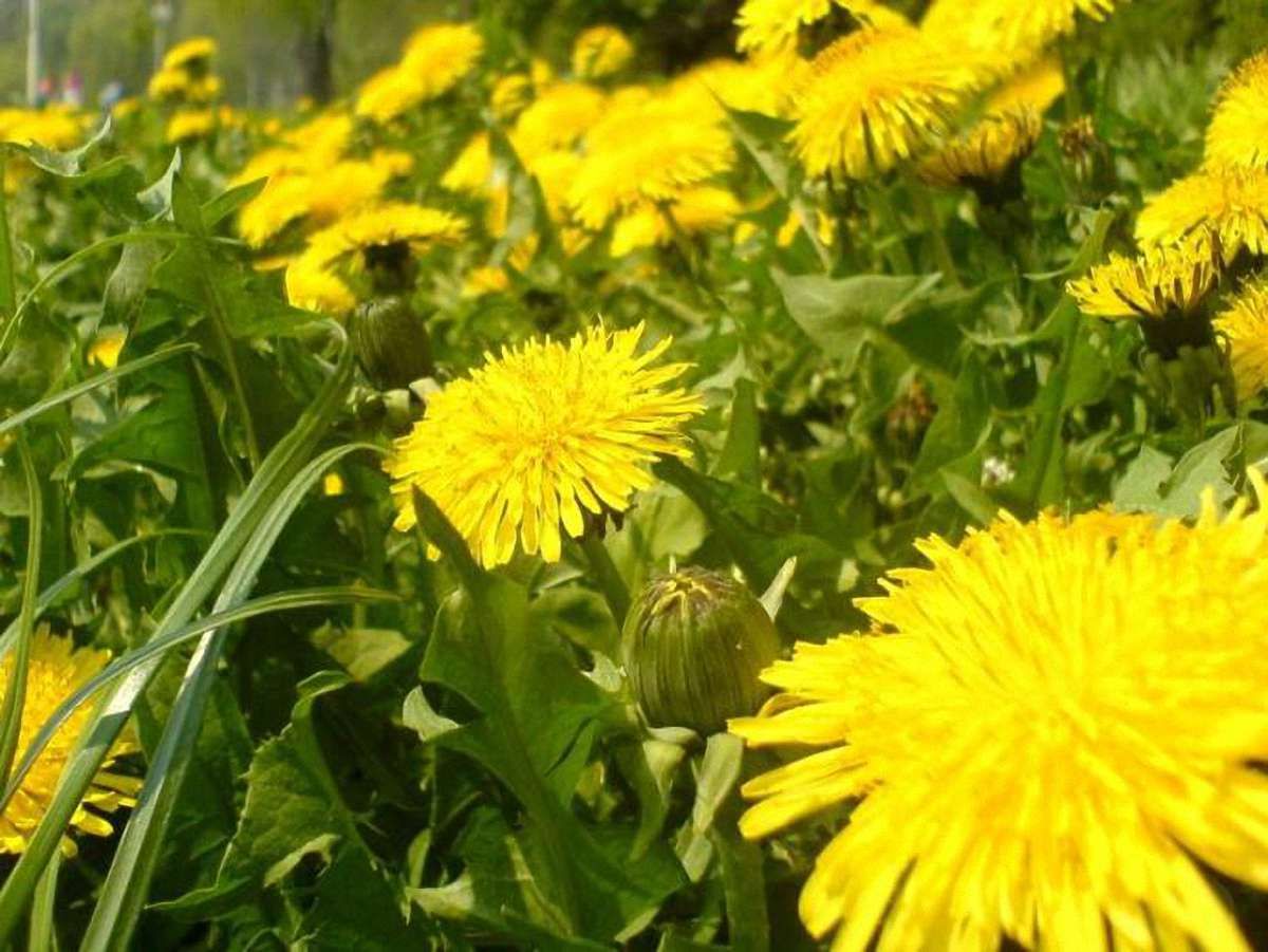 Завтра в Україні знову буде спекотно