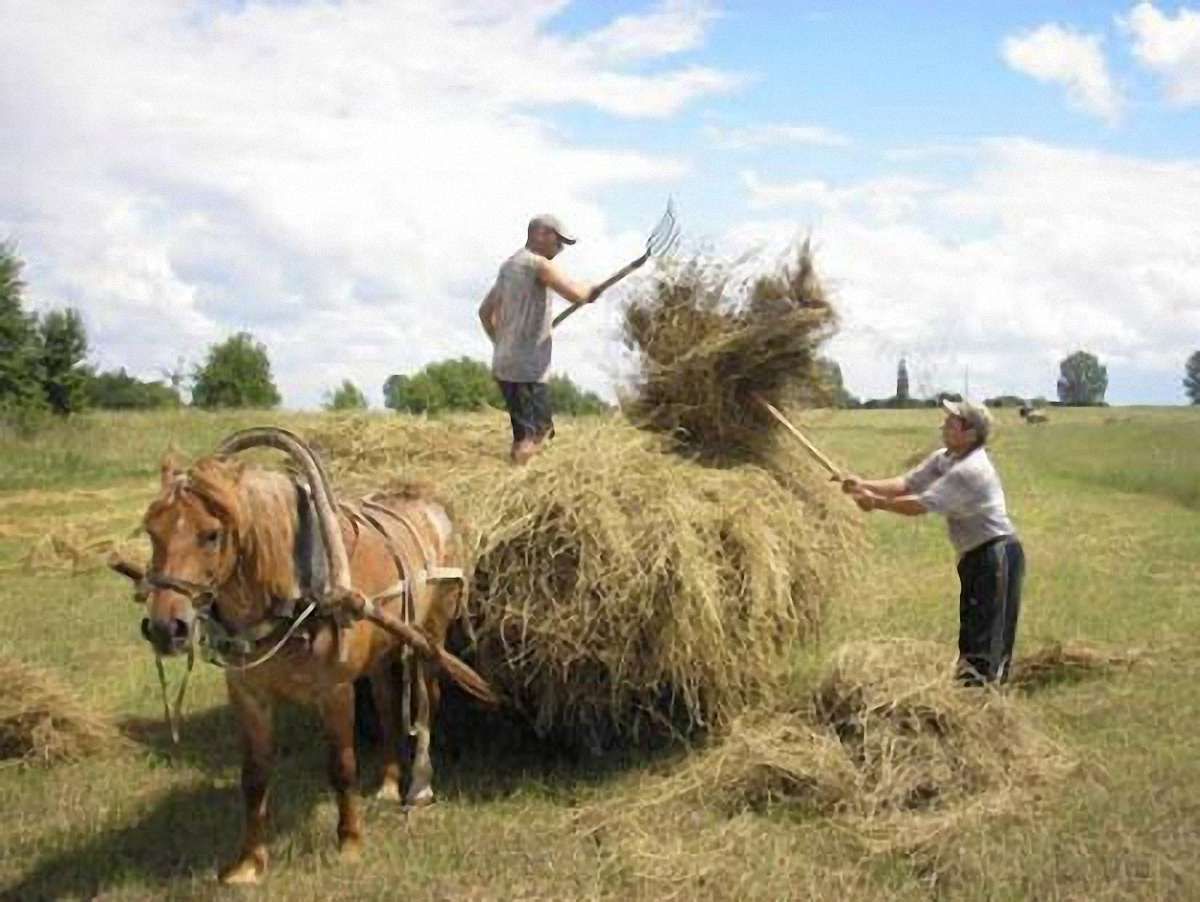В Україні за 8 років селян поменшало на 8,4%