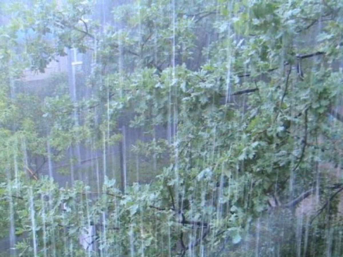 У Львові на сьогодні – штормове попередження