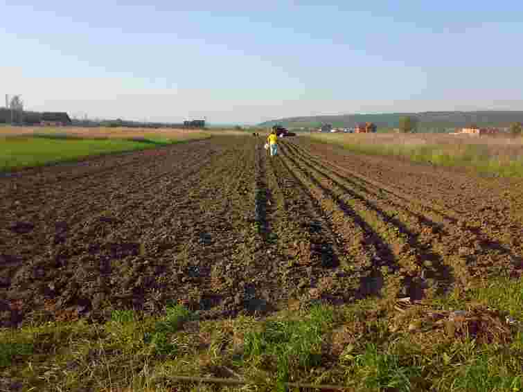Рада спростила процедуру передачі державних і комунальних земель