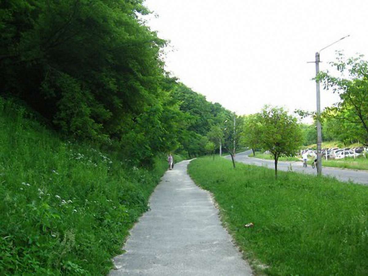 У Львові заїзд в парк заблокували металевими стовпцями