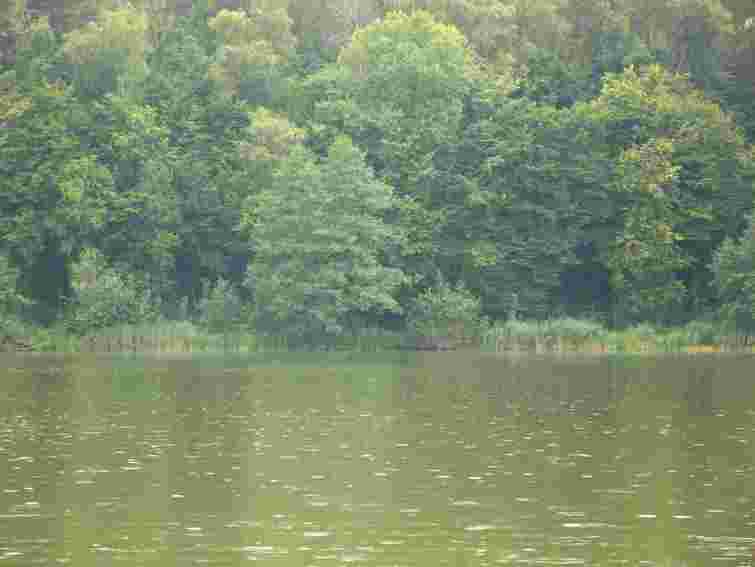 На завтра обіцяють короткочасні дощі