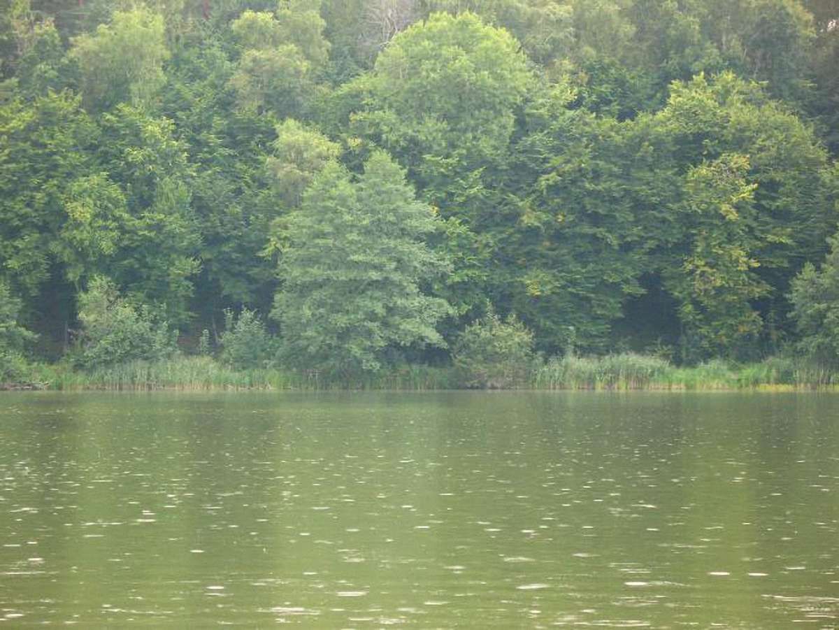 На завтра обіцяють короткочасні дощі