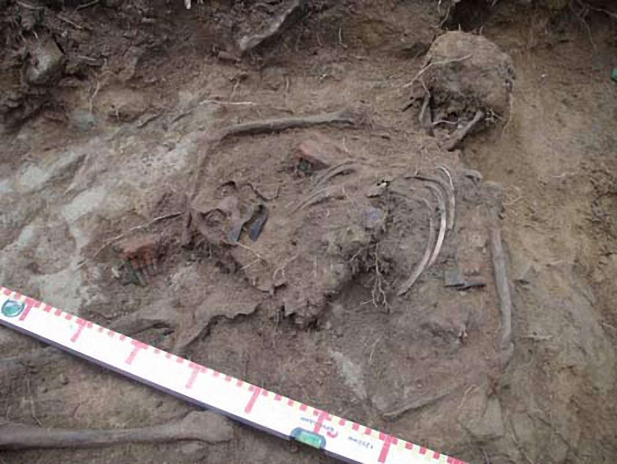 На Львівщині знайшли останки трьох вояків І Світової війни. Фото