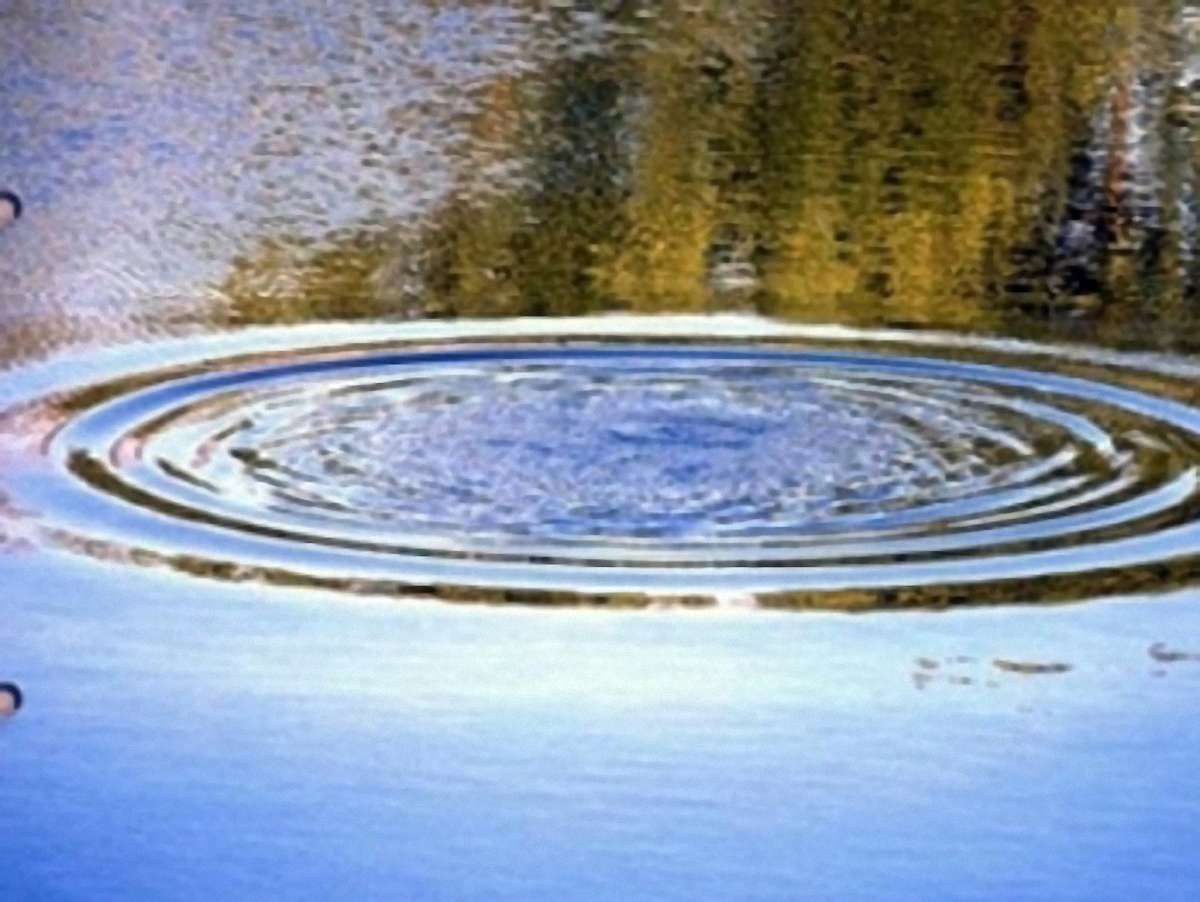 На Тернопільщині у ставку втопилася чотирирічна дівчинка