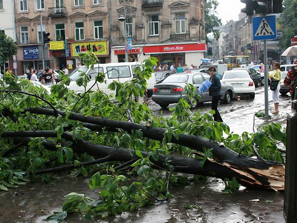 На завтра у Львові – штормове попередження