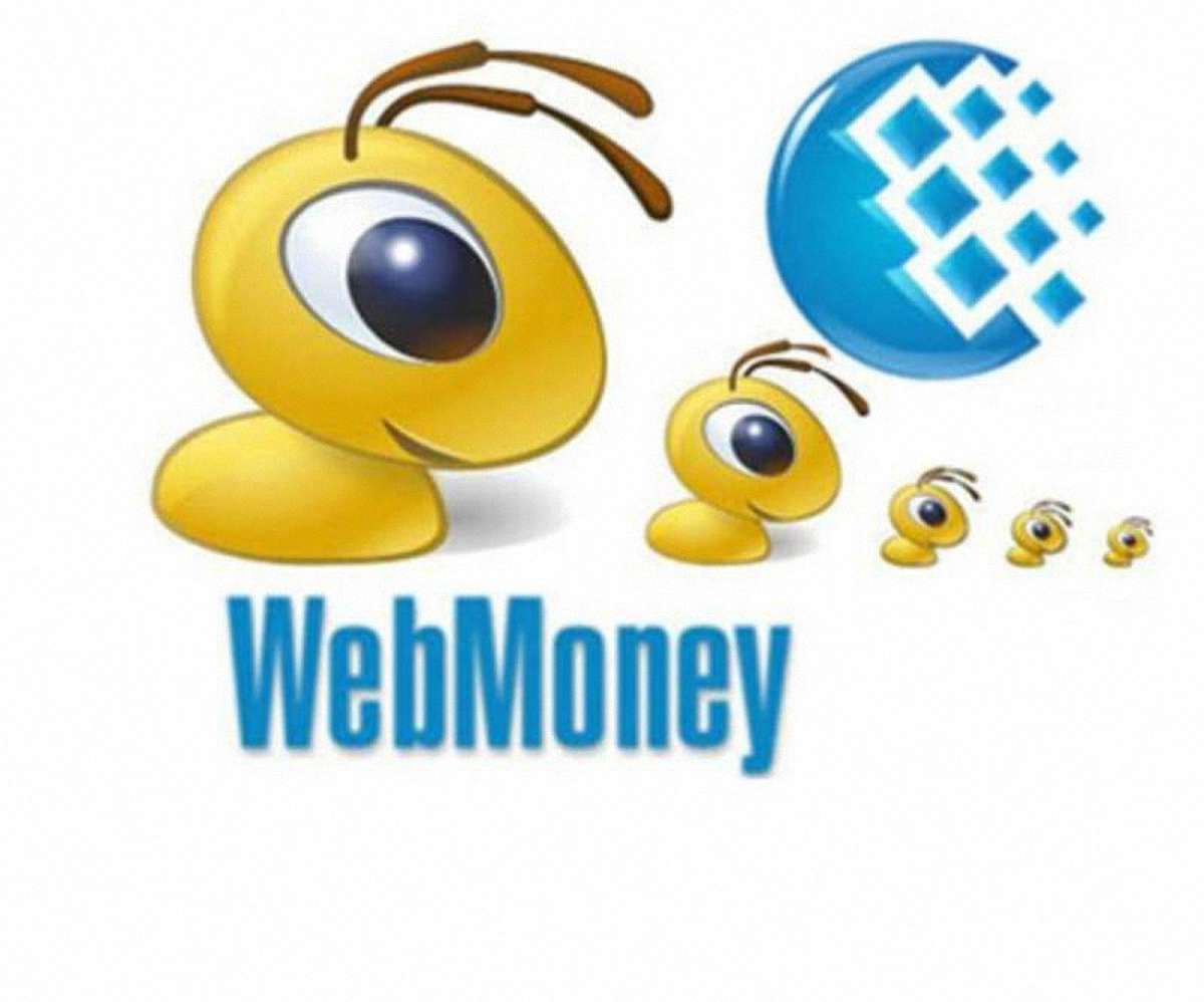Щодо роботи WebMoney відкрито кримінальне провадження, - Міндоходів