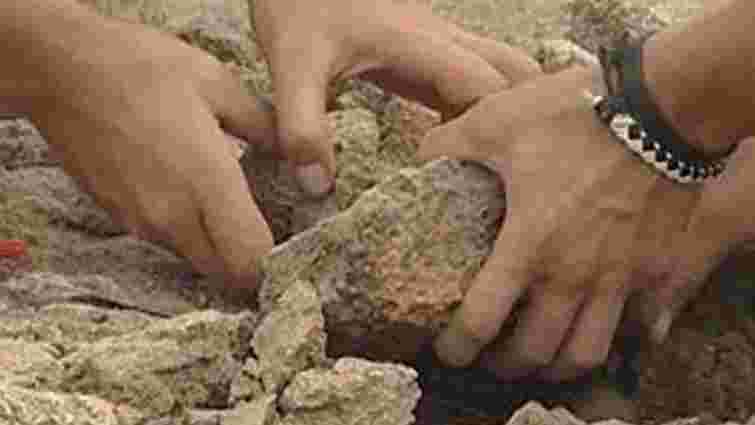 Археологи обіцяють дослідити Пекарську до 10 липня