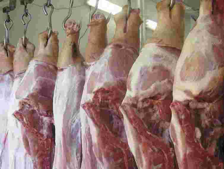 Україна заборонила ввезення свиней та свинини з Білорусі