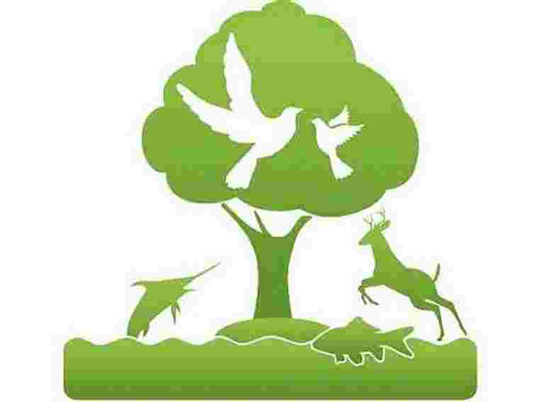 У Львові розповідають про утилізацію відходів на досвіді Словаччини