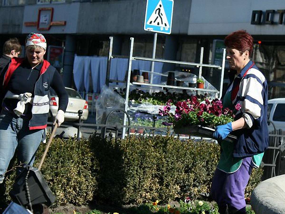 Львів’яни просять озеленити вулицю Городоцьку