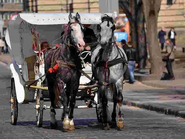 Львів представили португальським туроператорам
