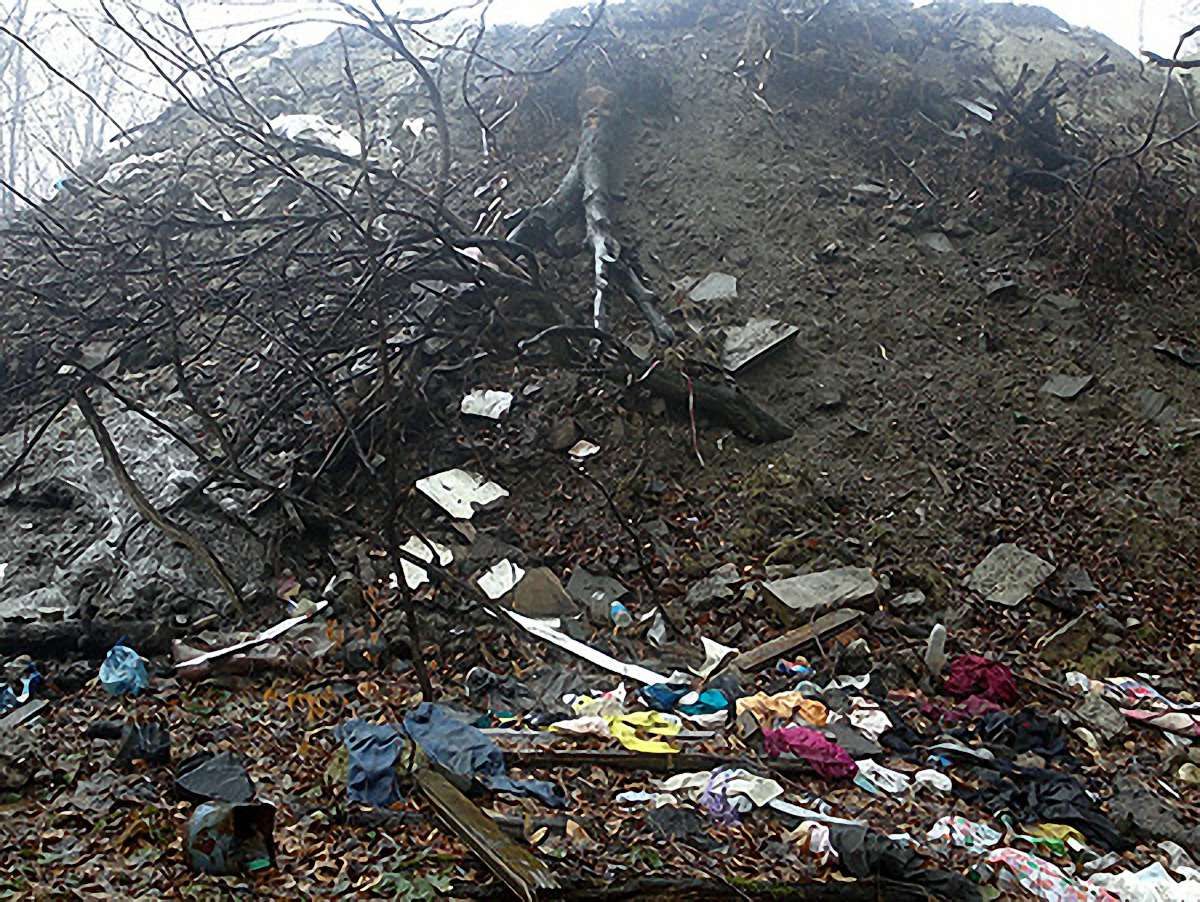 У Львові з лісопарку на Личаківській вивезли 40 тонн сміття