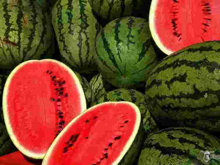 У Львові визначили місця продажу кавунів та динь