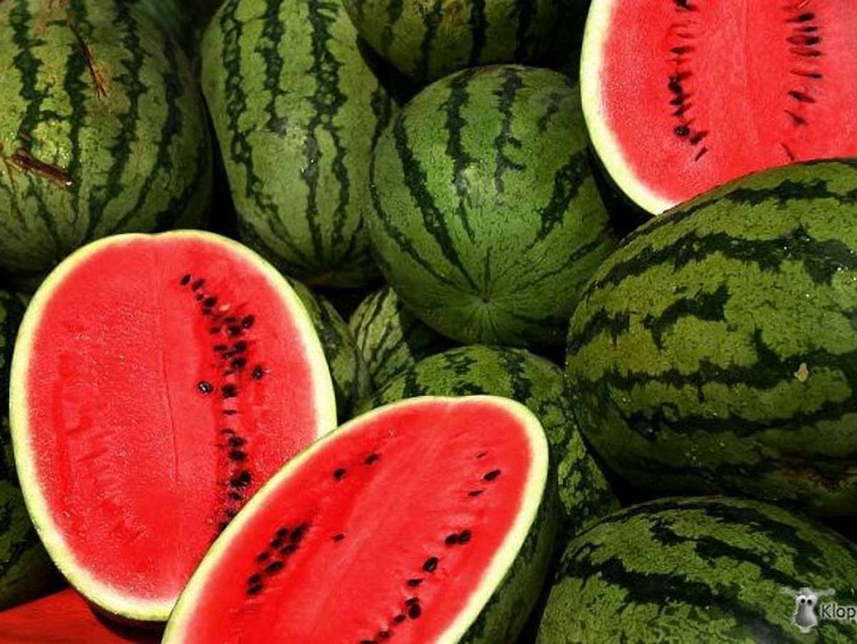 У Львові визначили місця продажу кавунів та динь