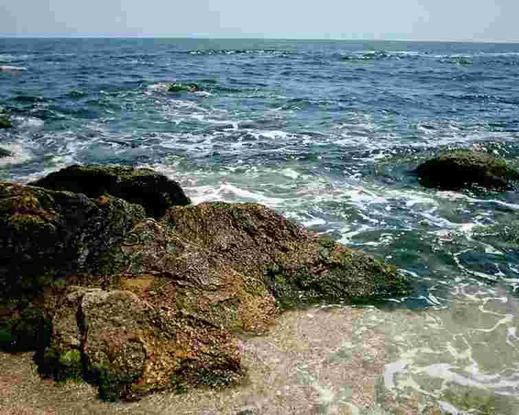 Хлопця з Львівщини, що зник у морі на Одещині, досі не знайшли