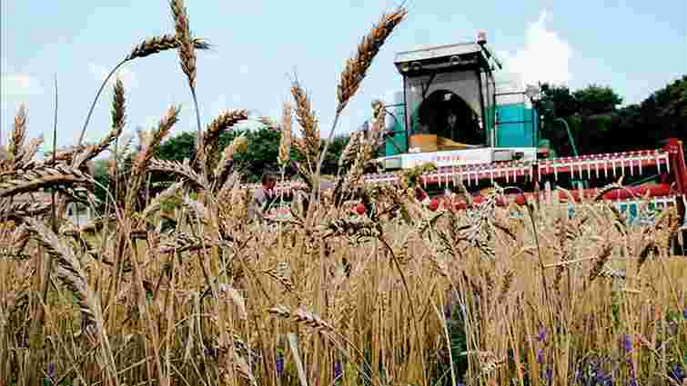 Експерти назвали безглуздими рекордні прогнози врожаю зернових