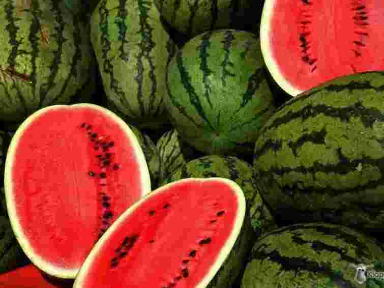 Кавуни і дині на ринках Львова – вирощені під плівкою