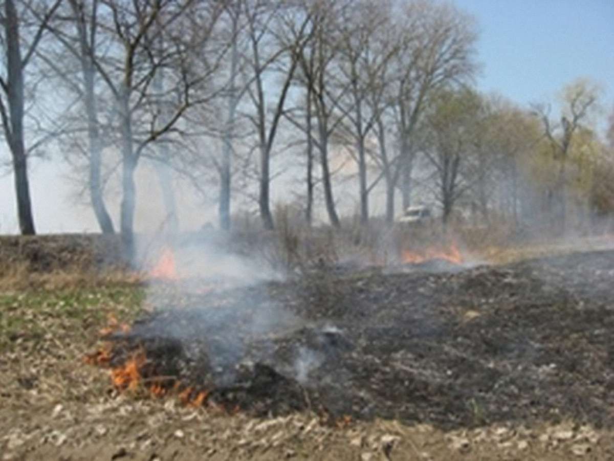 На Львівщині через спеку щодня горять поля