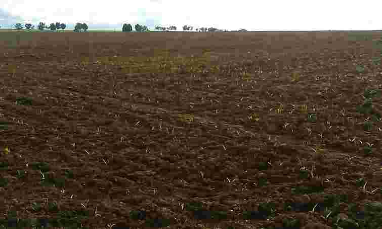 Посадовці сільради незаконно віддали підприємству 48 га землі