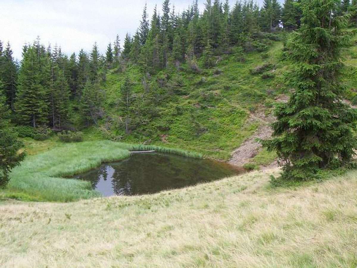 Закарпатські рятувальники знайшли 12 туристів, які заблукали на горі