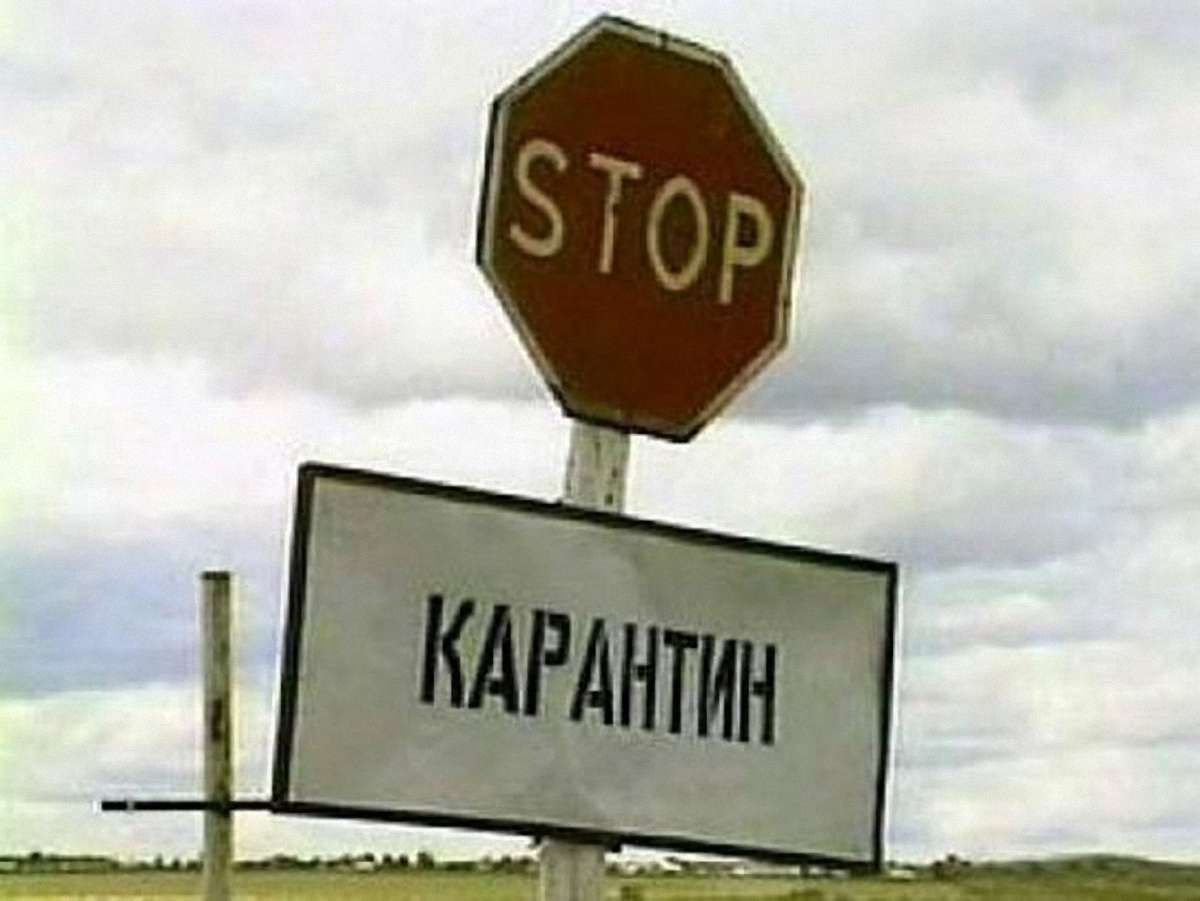 У Киргизстані від чуми помер підліток, понад сотня в лікарні, введено карантин