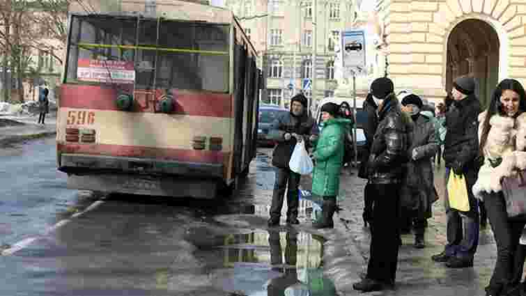 У Львові дерева обірвали електромережі: не курсують тролейбуси №№2 і 12