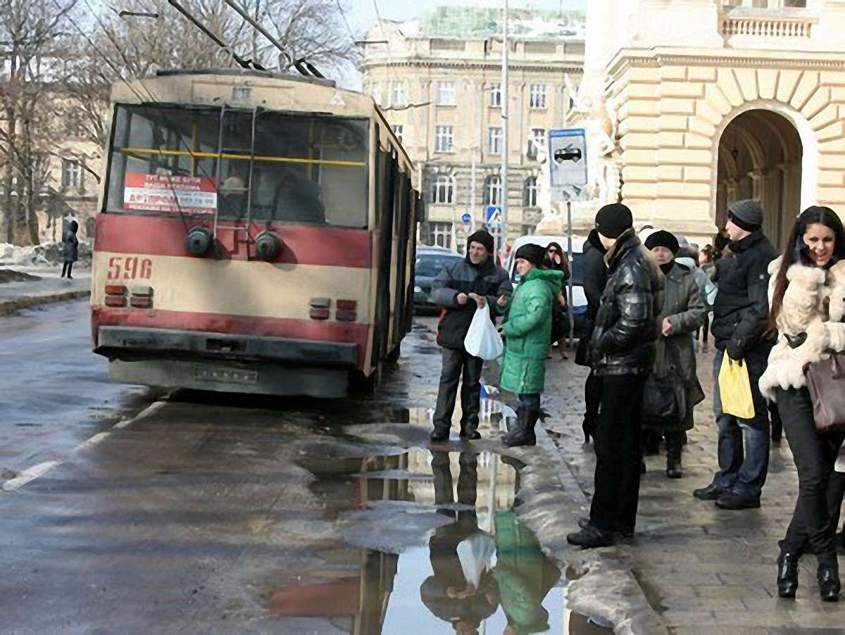 У Львові дерева обірвали електромережі: не курсують тролейбуси №№2 і 12