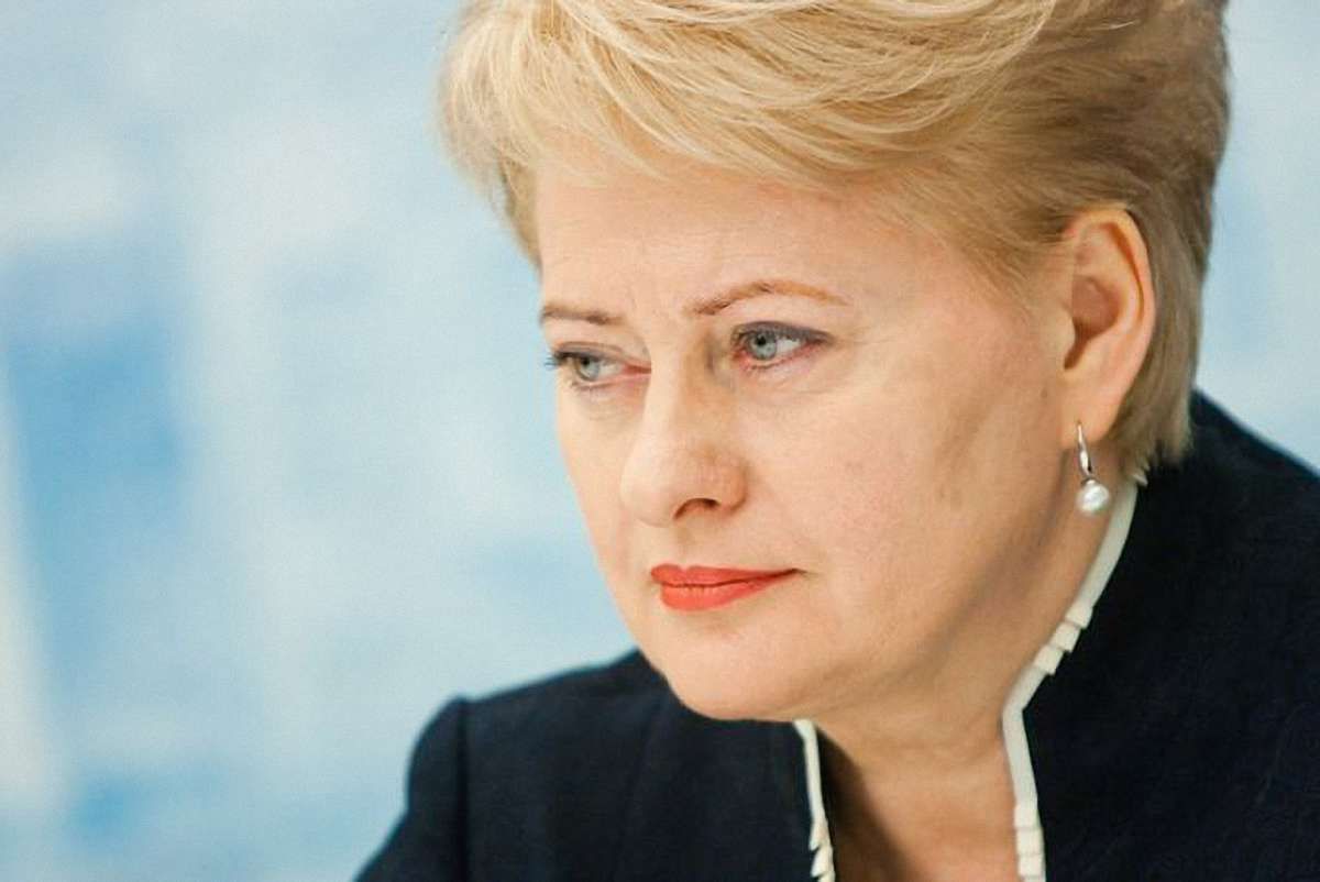 Зближення України з ЄC підвищить безпеку в Європі, – президент Литви