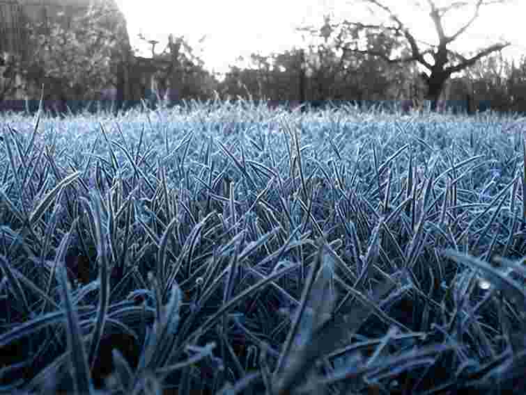 Вночі на Західній Україні – заморозки