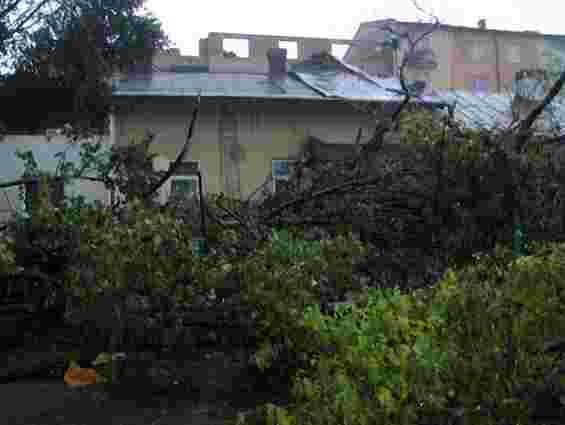 Збитки від буревію на Львівщині оцінили вже у 2 млн грн