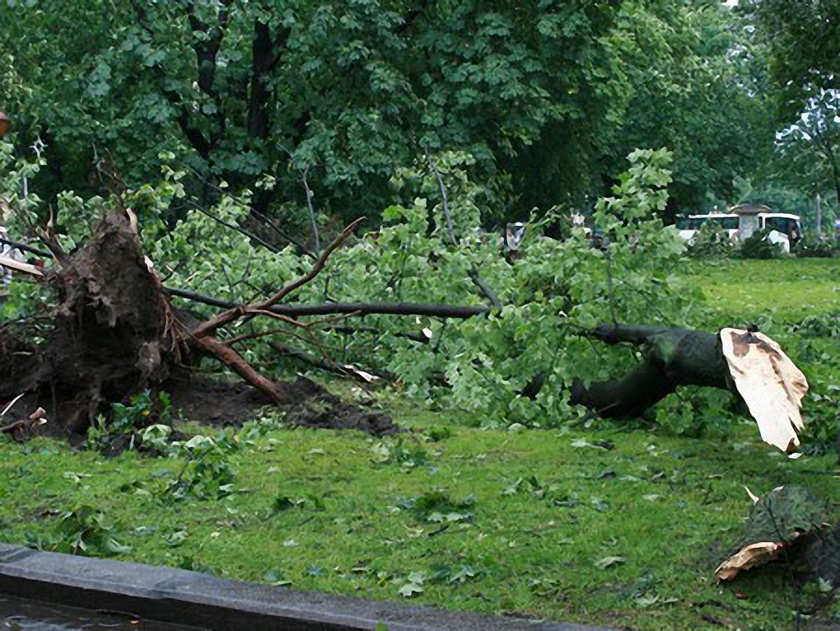 У Самборі на Львівщині досі ліквідовують наслідки негоди